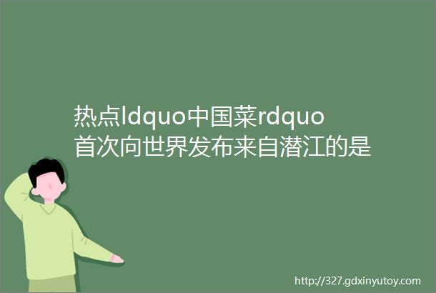 热点ldquo中国菜rdquo首次向世界发布来自潜江的是